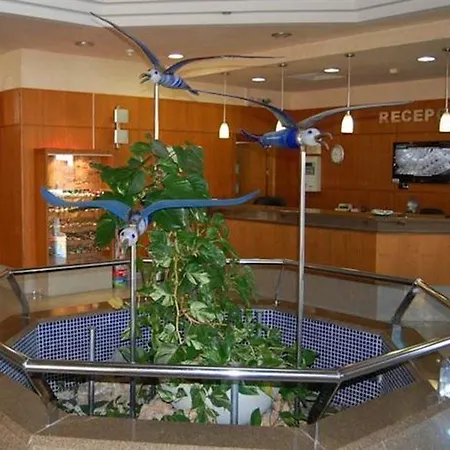Gaviotas Hotel 4*