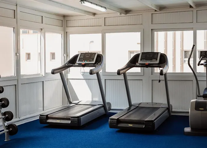 Gaviotas La Manga del Mar Menor