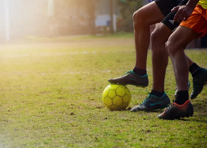 酒店 拉斯加维奥塔斯酒店 拉曼加戴尔马尔梅纳