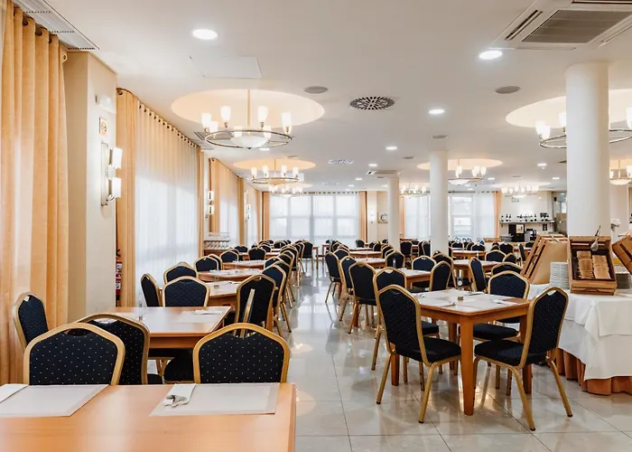 Gaviotas La Manga del Mar Menor