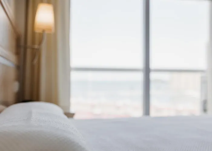 Gaviotas La Manga del Mar Menor