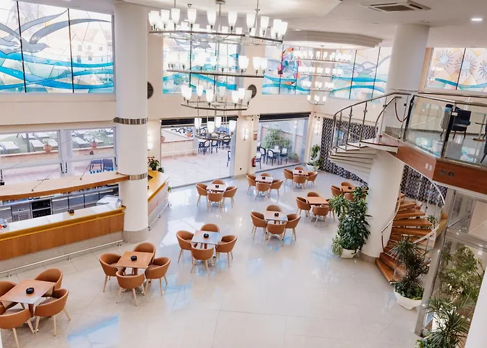 Gaviotas La Manga del Mar Menor